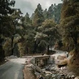 CM Dhami Clears ₹86 Lakh for Disaster Relief, Infrastructure