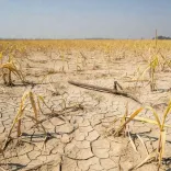 CM Fadnavis Activates 12-Point Drought Relief for 265 Maharashtra Talukas