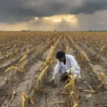 CM Fadnavis: Crop damage to be assessed at mandal level