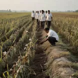 CM Fadnavis Inspects Crop Damage in Washim, Vidarbha