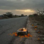 CM Fadnavis mourns lives lost in Jalgaon, Nagpur, Beed accidents