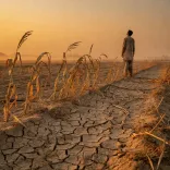 CM Fadnavis: No Drought-Hit Farmer Left Without Aid in Maharashtra