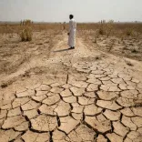 CM Fadnavis Pushes Drought-Free Maharashtra, Meets Akie Abe