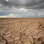 CM Fadnavis seeks Centre's special drought aid in Delhi