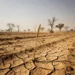 CM Fadnavis surveys drought-hit Maharashtra villages