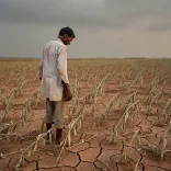 CM Fadnavis visits farms, vows blanket crop relief in 2 days
