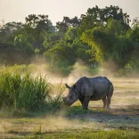 CM Himanta welcomes Vantara Foundation's Assam wildlife plan