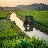 CM Mohan Yadav to inaugurate major irrigation project in tribal Dhar