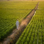CM Nitish Reaffirms Bihar-Centre Push to Boost Farmer Income