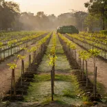 CM Rekha Gupta Lists Delhi's Green Gains in 1.5 Years