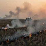 CM Rekha Gupta Slams AAP Over Stubble Burning in Punjab