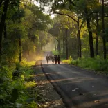 CM Sai Hails Bastar's New Era of Peace After Decades of Naxalism
