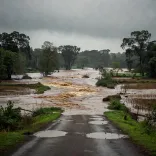 CM Sai Orders Full Alert as Bastar Floods Grip Chhattisgarh