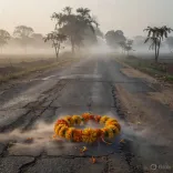 CM Yogi mourns Pratapgarh accident deaths, offers condolences