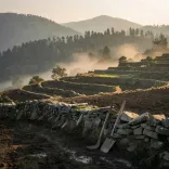 HP CM Office on Farmer Relief: Land Restored, Aid Disbursed