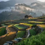 HP CMO: Pangi Named State's First Natural Farming Sub-Division