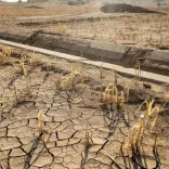 KTR Slams Congress Over Farmer Water Crisis in Telangana