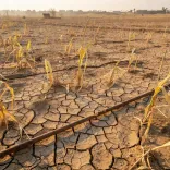 Maharashtra Declares Drought in 265 Talukas, CM Fadnavis Announces Relief