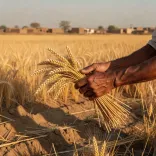 Nadda Hails Cabinet Nod to Extend PM-KISAN Till 2031
