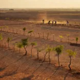 Rajasthan CM launches 'Mission Hariyalo Rajasthan' green drive