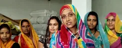 लखपति दीदी योजना: नीमच की ग्रामीण महिलाओं ने स्व-सहायता समूहों से पाई आर्थिक आज़ादी, हर माह ₹20-25 हज़ार की कमाई