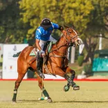 How Are More Grassroots Tournaments Crucial for Polo’s Growth in India?