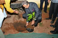 Did MoS Kirti Vardhan Singh Plant a Sapling at Shree Swaminarayan Temple Complex in Uganda?