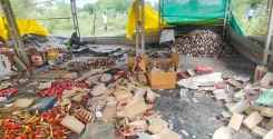 Bhopal bans carbide guns, illegal firecrackers for 2 months ahead of Diwali