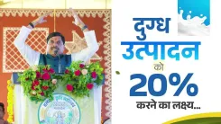 MP CM Mohan Yadav eyes 20% national milk share for state