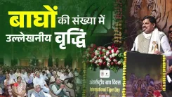 MP CM Mohan Yadav Hails State as Tiger's Safest Home on Int'l Tiger Day