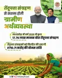 MP CM Office Announces ₹710.71 Cr Bonus for Tendu Leaf Collectors