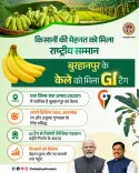 MP CM Office: Burhanpur Banana Gets GI Tag