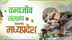 MP CM Office Highlights State's Wildlife Conservation Lead