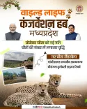 MP CMO Highlights State's Rise as Wildlife Conservation Hub