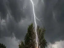 Lightning kills woman, niece in Shahdol while collecting Mahua flowers