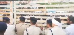 Bhopal protest erupts over Muslim youth's assault at Govindpura hotel; Commissioner orders probe