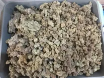 मुंबई एयरपोर्ट पर कस्टम विभाग की बड़ी कार्रवाई, बैंकॉक से आए 5 यात्रियों से 42.9 किलो हाइड्रोपोनिक वीड जब्त