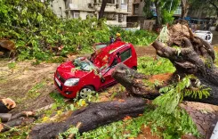 Mumbai records 380mm rainfall in 48 hrs; BMC calls special meet on July 9