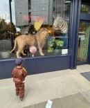 नाती वायु के जन्मदिन पर अनिल कपूर का छलका प्यार, कहा- 'तुम हमारे जीवन में खुशियां लेकर आएं'