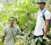 What medicinal secrets of a rare Meghalaya plant have Nagaland University researchers unlocked?