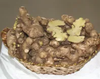 What is the New High-Yield Ginger Variety 'SAS-KEVU' Developed by Nagaland University?