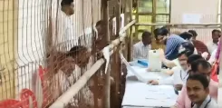 राजस्थान नगर निकाय चुनाव 2026: अलवर, बूंदी, सीकर, जैसलमेर और नाथद्वारा के वार्डवार परिणाम घोषित