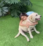 Why is Namrata Shirodkar mourning the loss of her first ‘little big baby’?