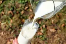 नंदिनी दूध दाम वृद्धि: बेंगलुरु होटल एसोसिएशन ने कहा — 8-10 नहीं, केवल 2-3 रुपये बढ़ाए सरकार