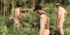 नशा मुक्त जम्मू-कश्मीर अभियान के 100 दिन: बारामूला पुलिस ने 53 गिरफ्तार किए, 42 मामले दर्ज