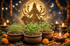 नवरात्र तृतीया: मां चंद्रघंटा से जुड़ा चन्द्रसूर (हलीम) पौधा, आयुर्वेद में बलवर्धक औषधि