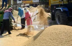 नए श्रम सुधार मजदूरों के हित में, जमीनी स्तर पर दिखेंगे बदलाव : ट्रेड यूनियन