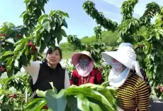 नए युग में चीनी महिला कार्य ने हासिल की अभूतपूर्व उपलब्धियां : हुआंग श्याओवे