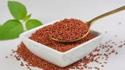 क्या हलिम माताओं के लिए वरदान है, जो स्वाद के साथ सेहत का भी ख्याल रखता है?