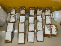 NCB seizes 11 kg ephedrine bound for New Zealand, Chennai man held